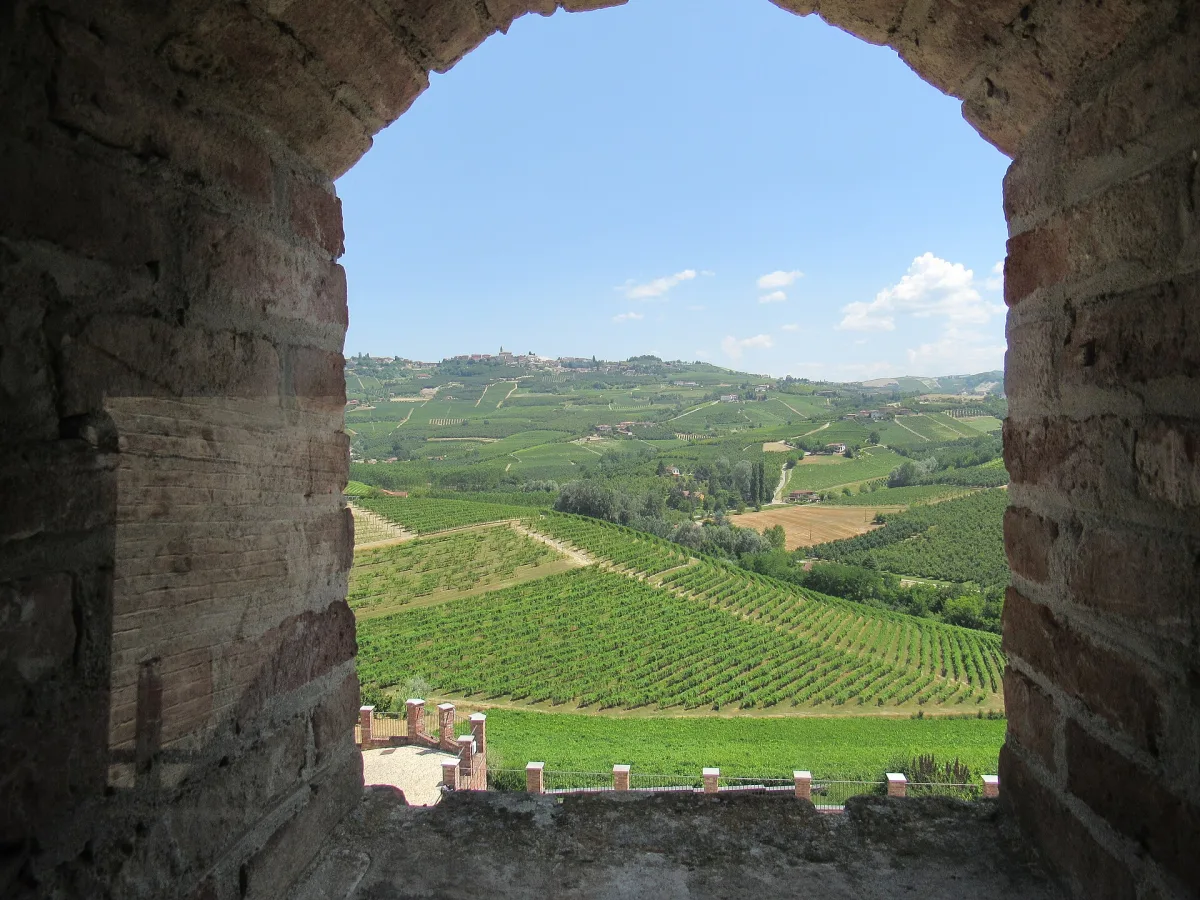 Cosa Vedere a Langhe e Barolo: Un Viaggio tra Storia, Vigneti e Sapori
