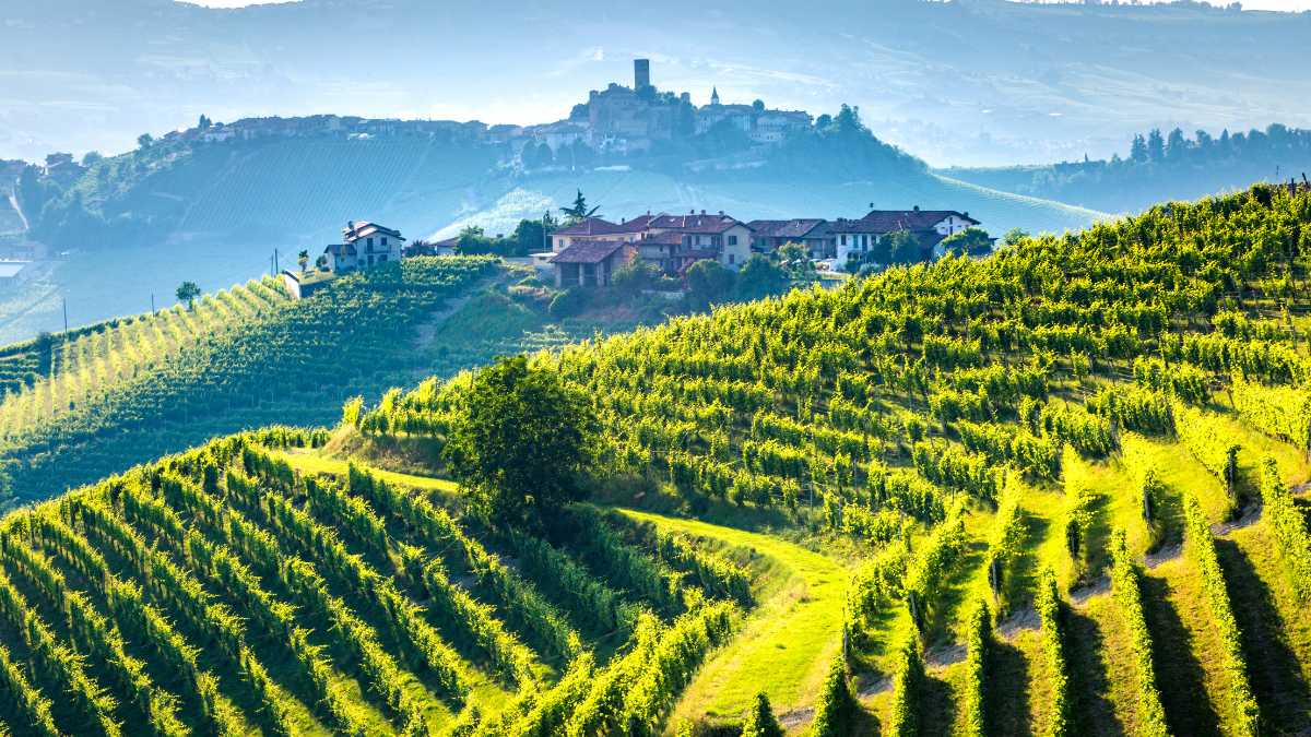 Guida Completa su Come Arrivare a Langhe e Barolo