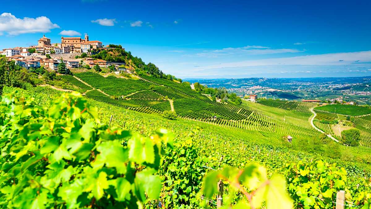 I Migliori Trekking nelle Langhe e Barolo: Avventure tra Vigneti e Castelli