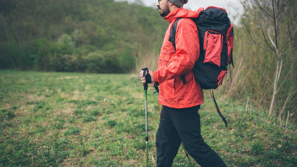 I migliori trekking vicino a Vercelli: avventure nella capitale del riso