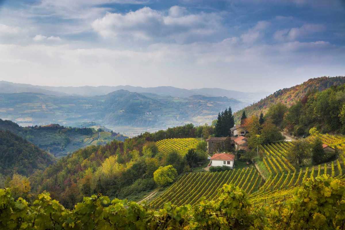Veduta panoramica di Cuneo con Alpi Marittime sullo sfondo