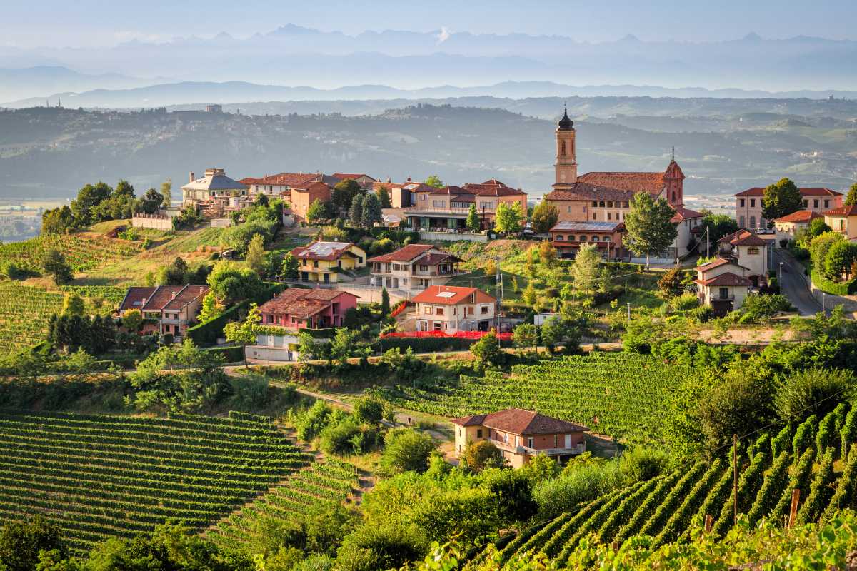 Vista panoramica delle colline delle Langhe con vigneti e castelli