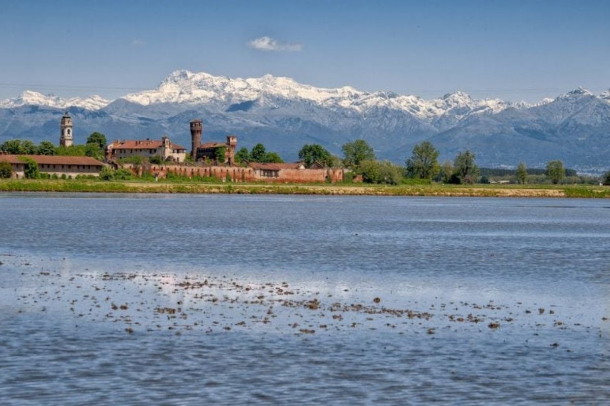 Una vista delle risaie di Vercelli con la Basilica di SantAndrea sullo sfondo