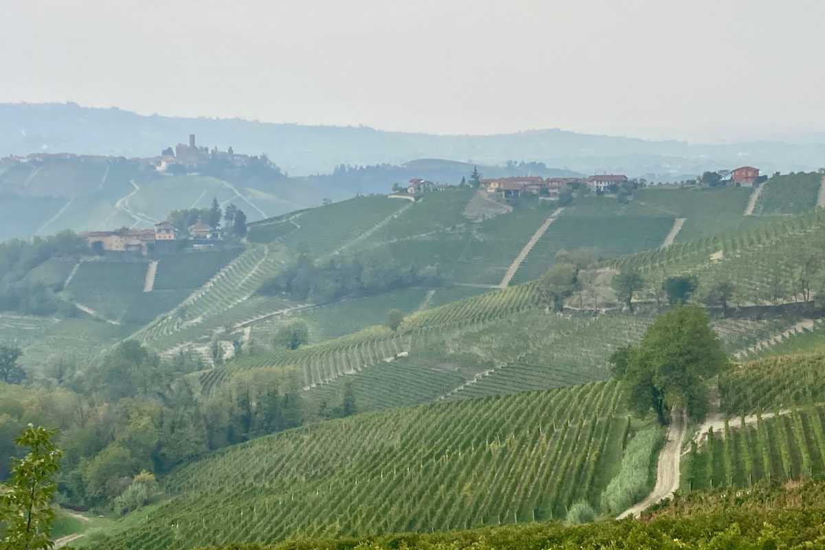Vista panoramica delle colline delle Langhe con vigneti e castelli