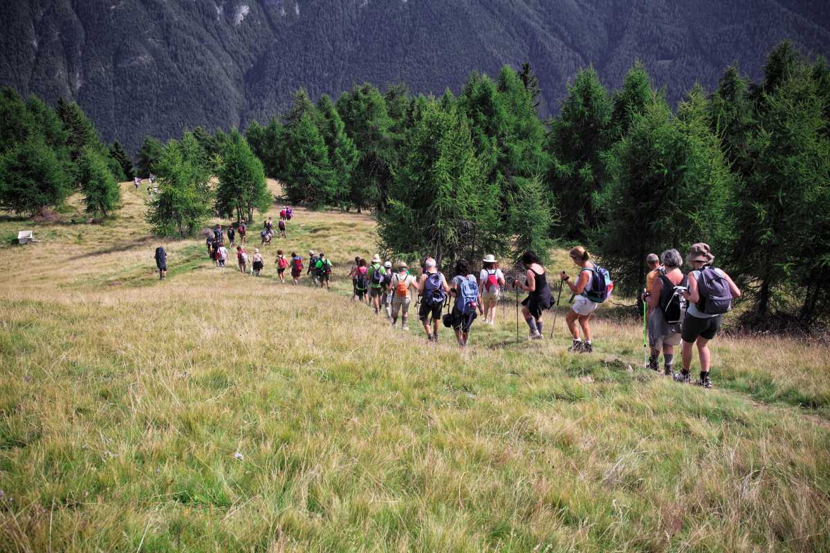 Panorama delle risaie e della Cupola di San Gaudenzio, includi elementi naturali