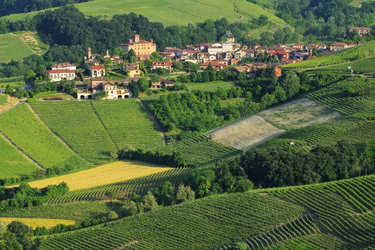 Bambini giocano in un parco delle Langhe, circondati da vigneti e natura