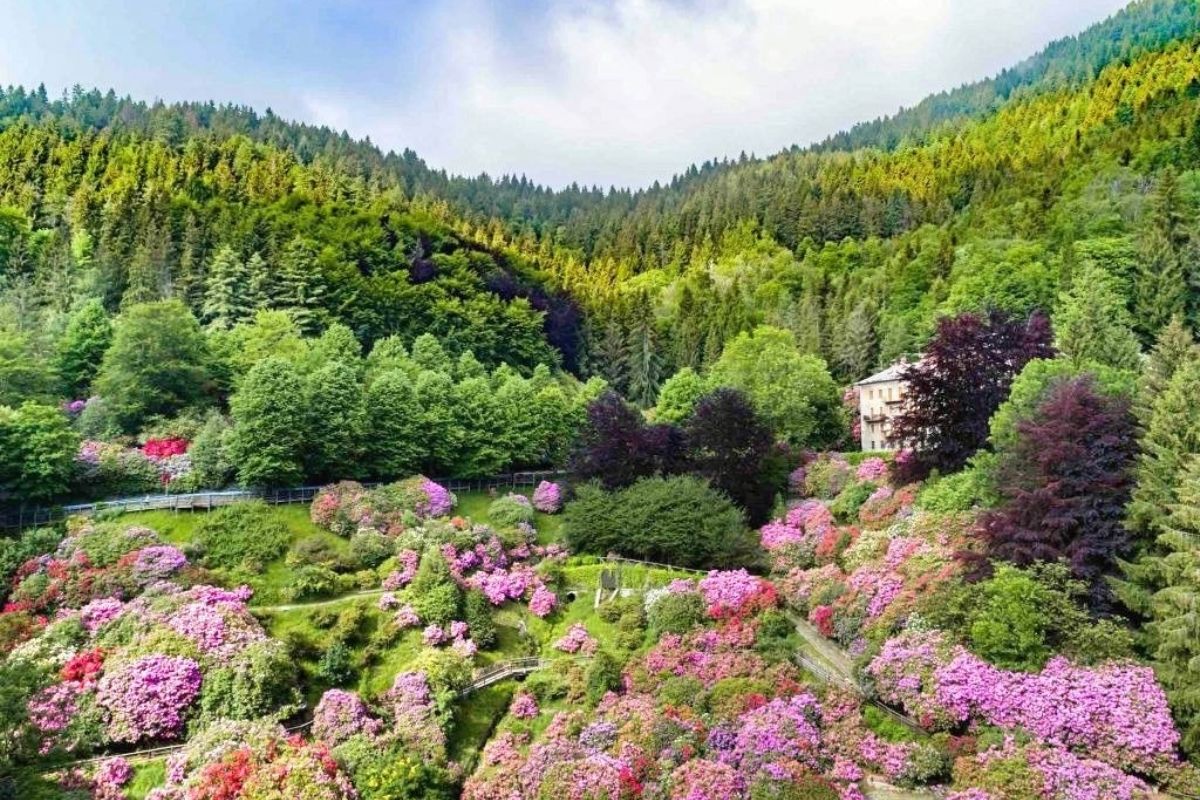 Paesaggio dell'Oasi Zegna durante la primavera