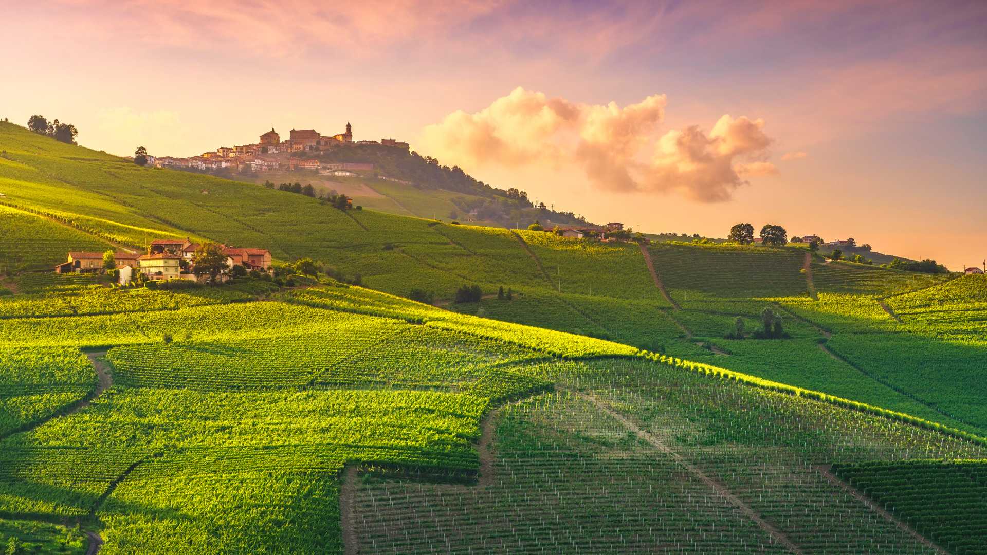 Langhe e Barolo, Piemonte