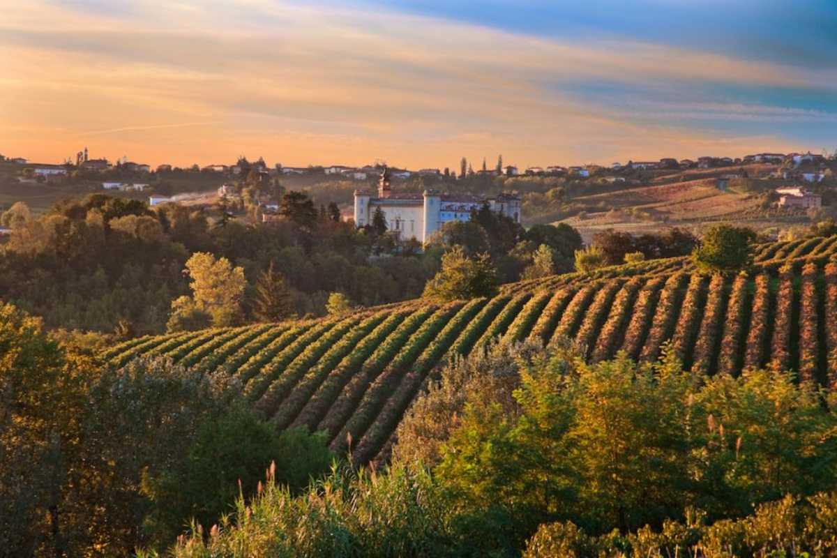 Vista delle colline vitate attorno ad Asti, con vigneti e paesaggi tipici del Piemonte
